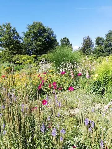Ferme De La Marliere Hotel Saint-Vincent-en-Bresse ภายนอก รูปภาพ