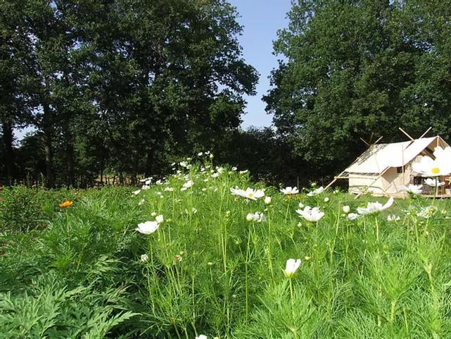 Ferme De La Marliere Hotel Saint-Vincent-en-Bresse ภายนอก รูปภาพ